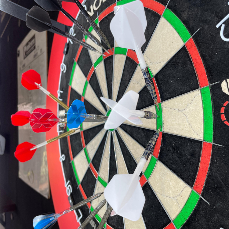 Gus Light Dartboard Light Ring, No Shadows, All Precision