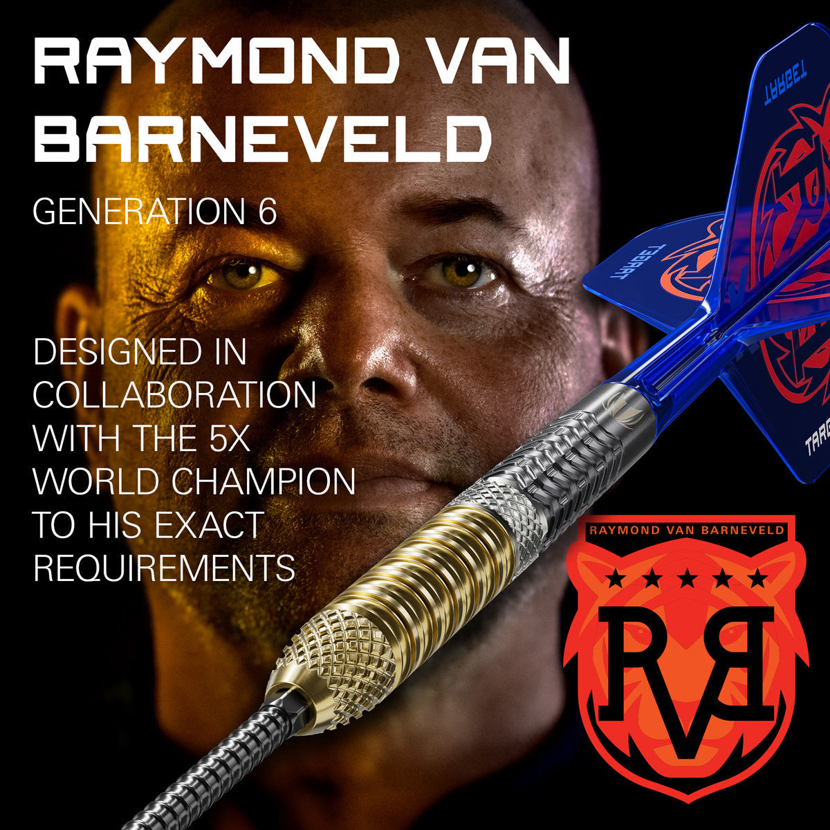 Target Raymond van Barneveld G6 95% Tungsten SP Steel Tip Darts