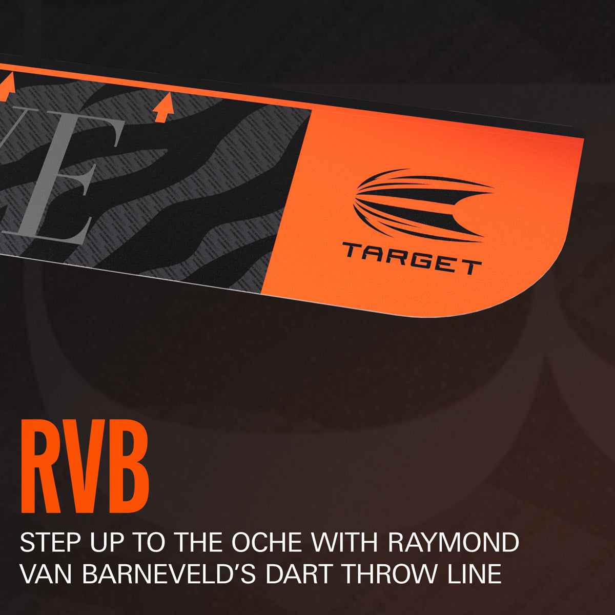 Target Raymond van Barneveld Throw Line