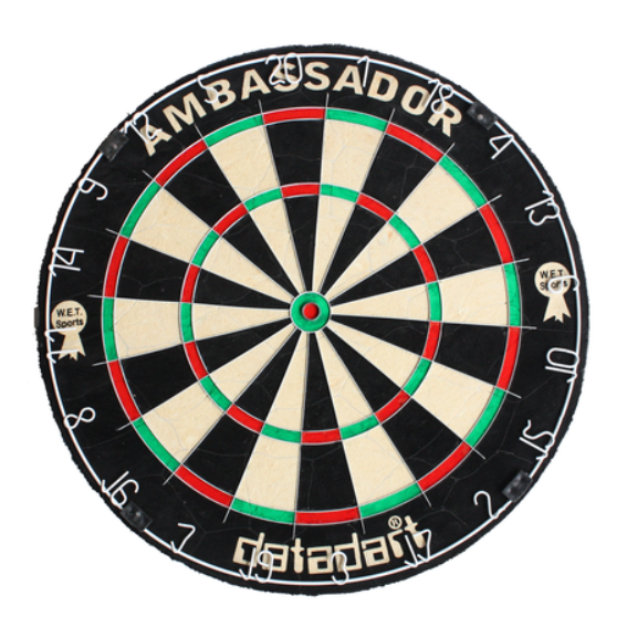 Datadart Ambassador Dartboard