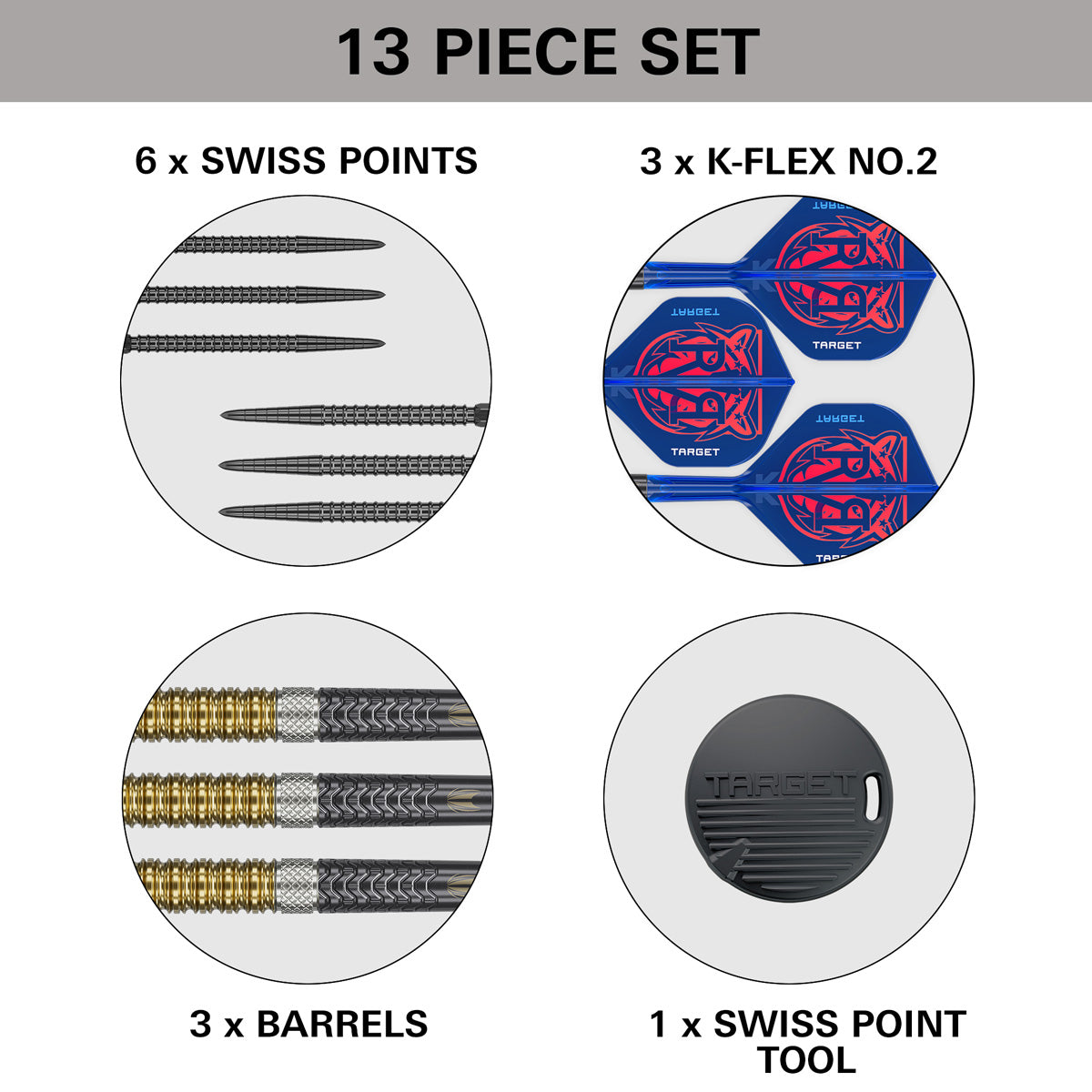 Target Raymond van Barneveld G6 95% Tungsten SP Steel Tip Darts